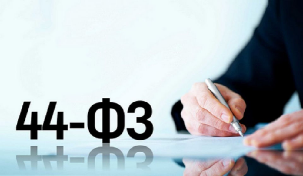 Парламентарии предлагают наложить мораторий на действие 44-ФЗ. Минфин против