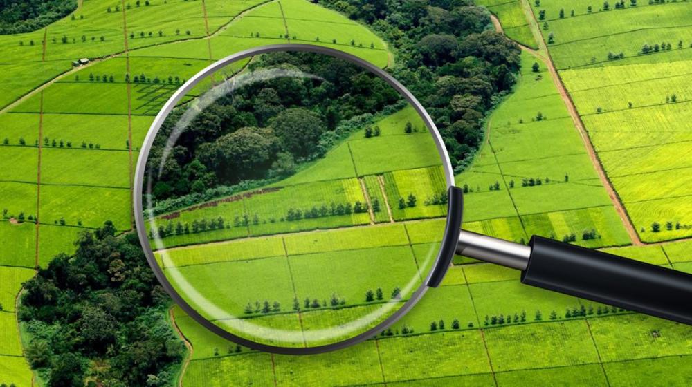 Росреестр зарегистрирует земельный участок только с указанием местоположения границ. 