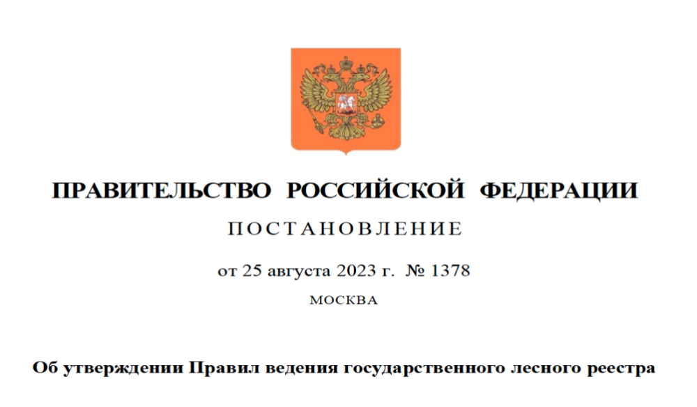 В России появится обновлённый государственный лесной реестр